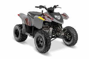Polaris Phoenix 200