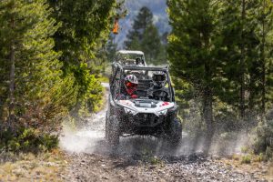 Polaris RZR 200