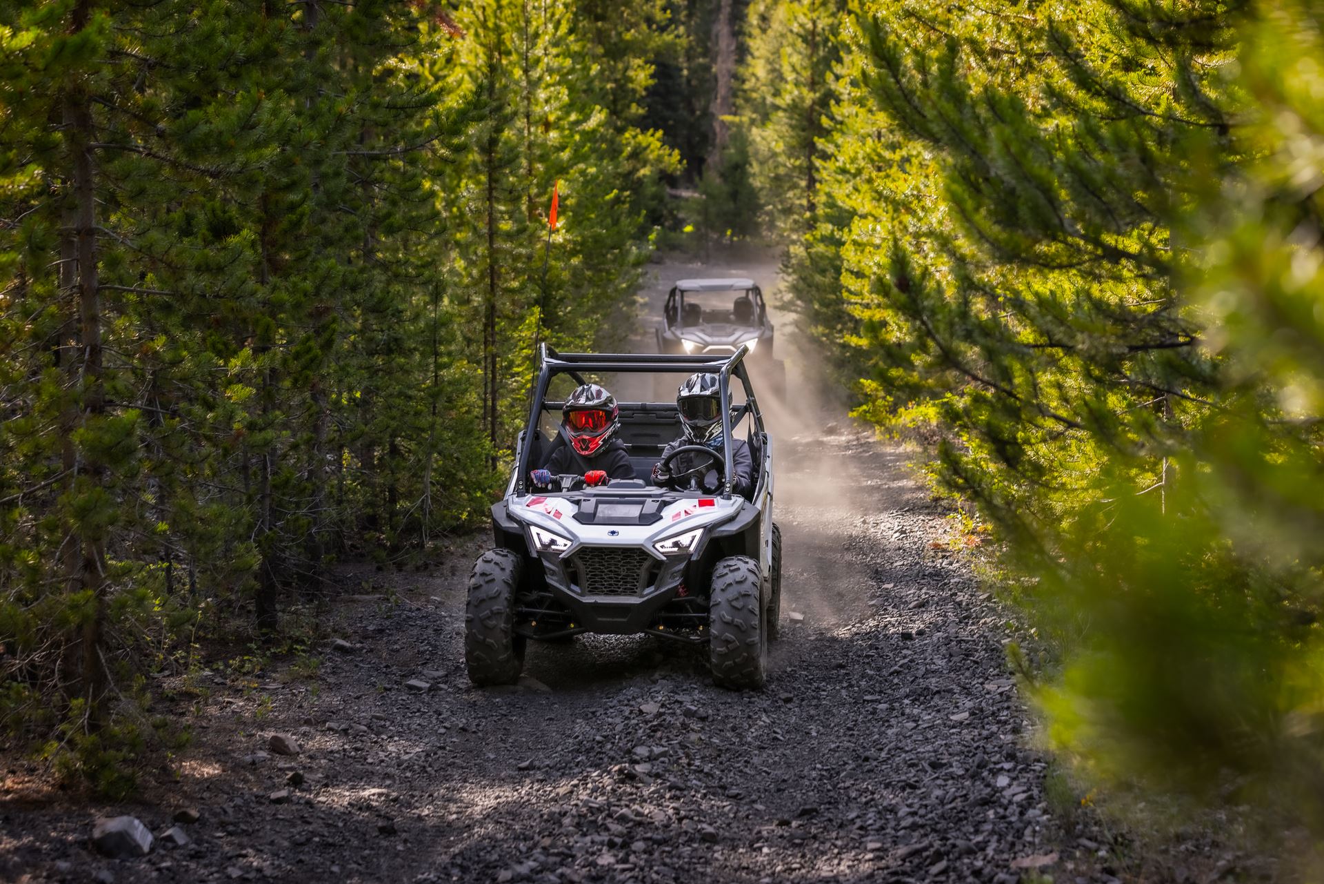 Polaris RZR 200
