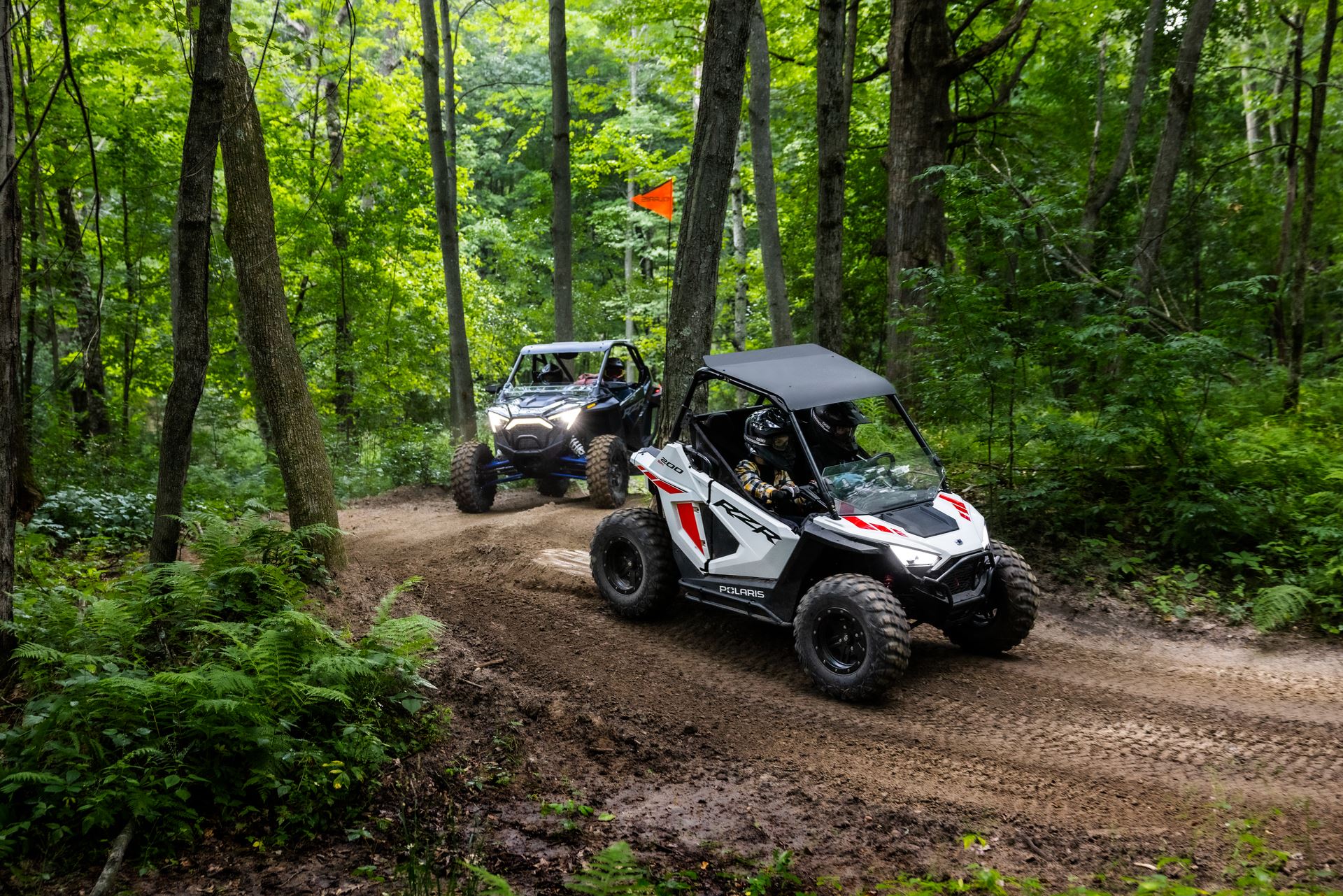 Polaris RZR 200