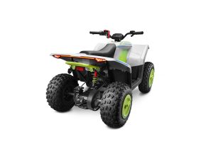 CFMoto CForce EV 110