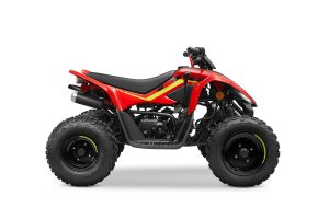 CFMoto CForce 110